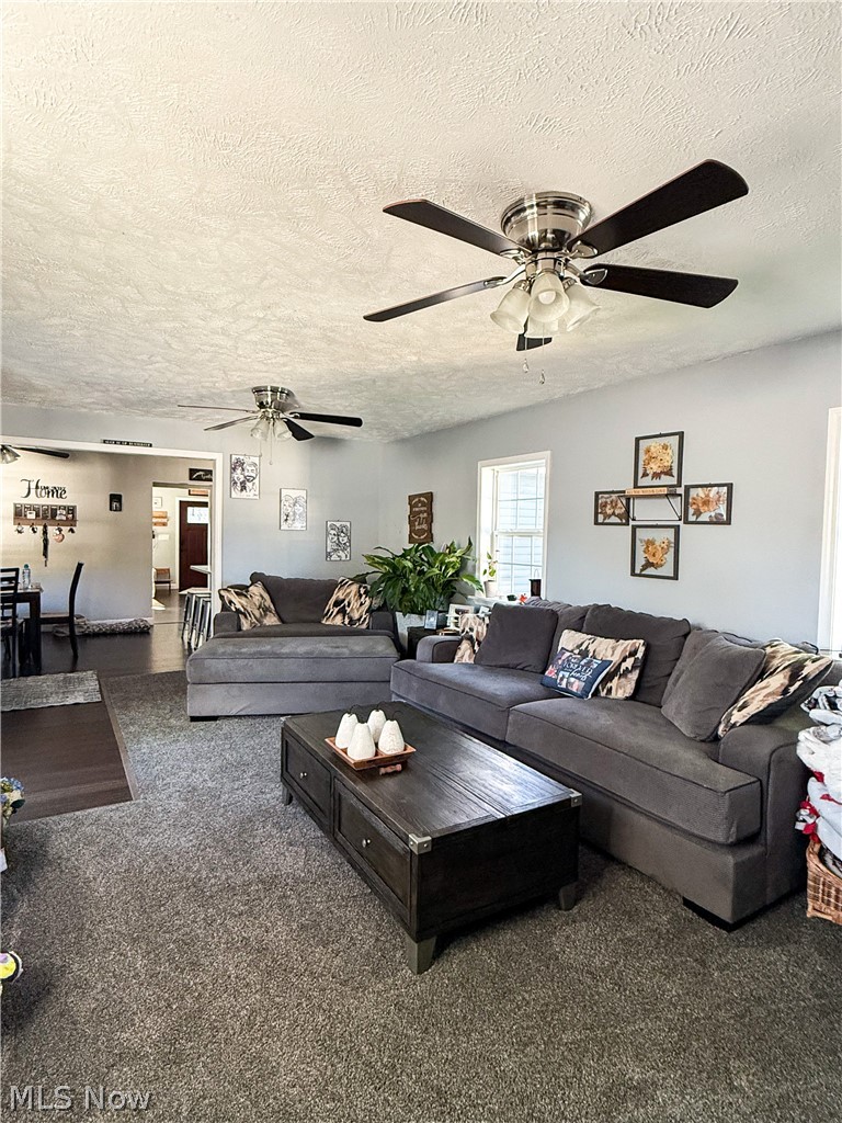 141 Spring Street Gnadenhutten OH 44629