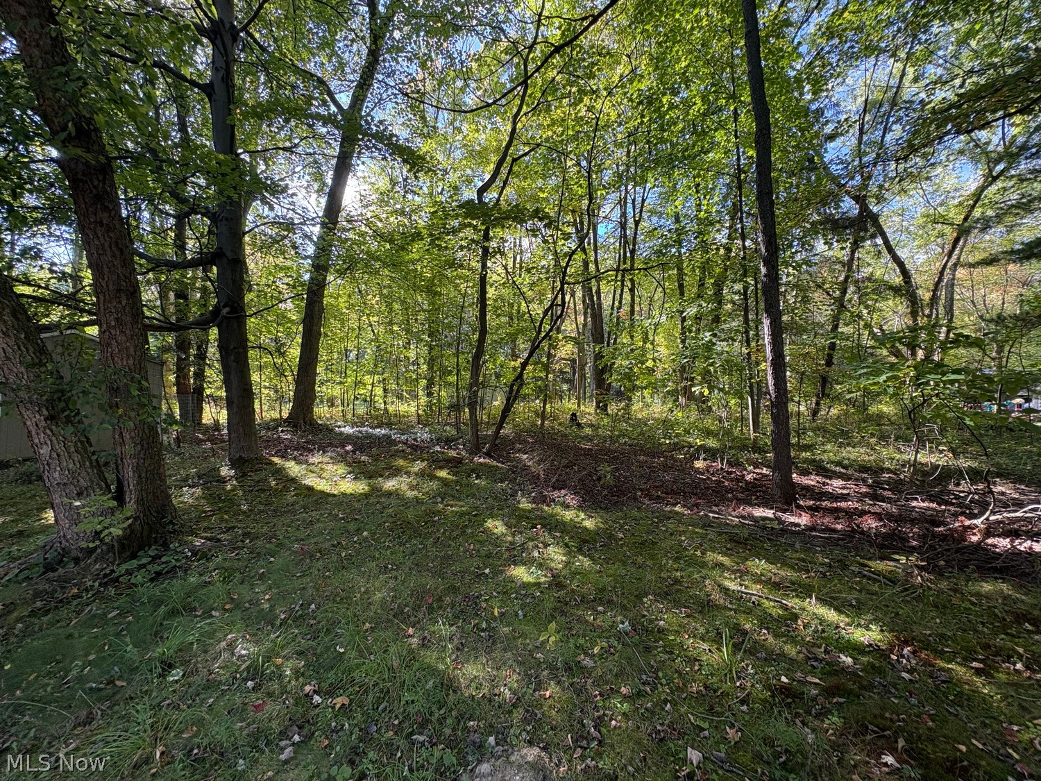928 N Hametown Road Akron OH 44333