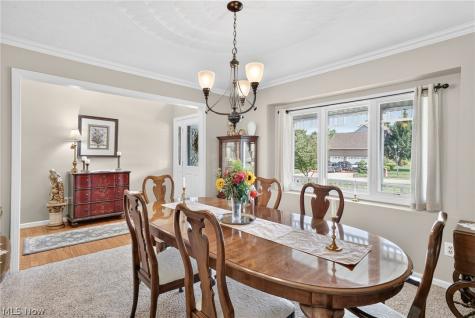 222 W Garwood Drive Tallmadge OH 44278
