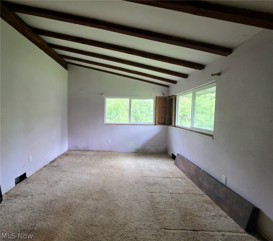 7620 Birchmont Drive Chagrin Falls OH 44022
