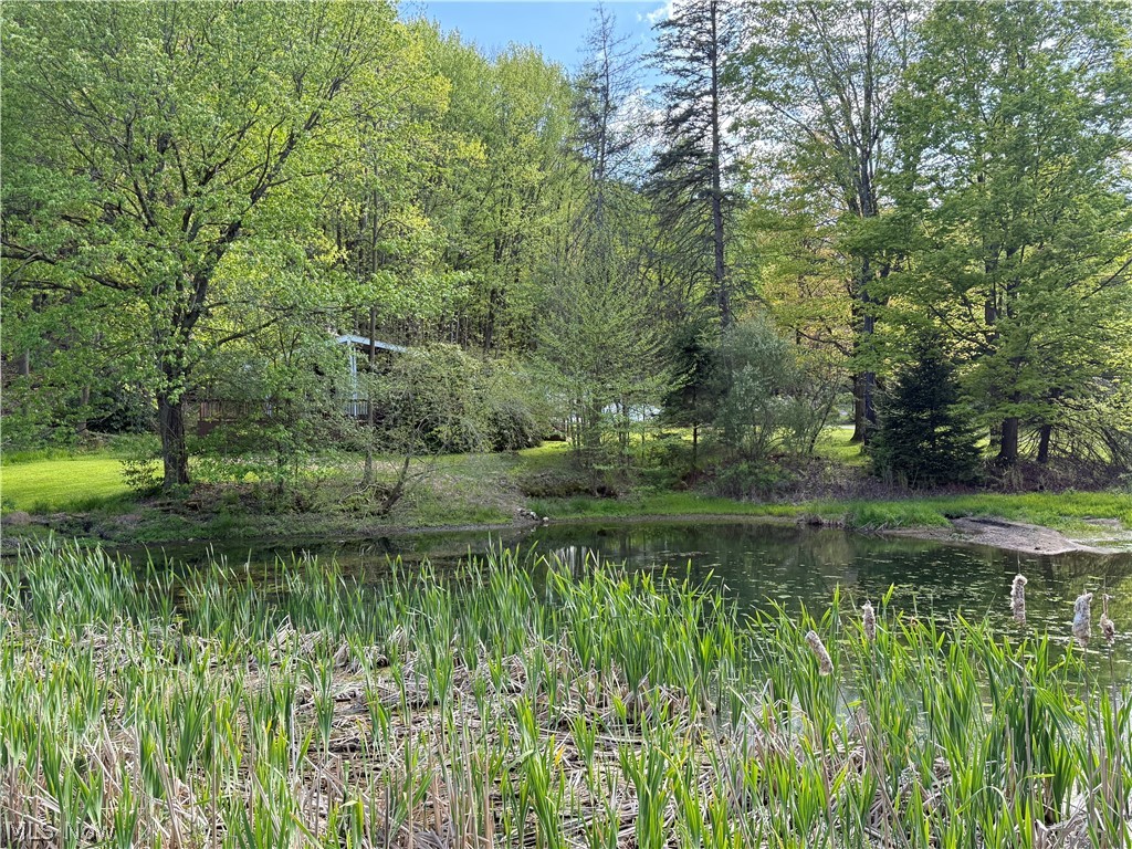 10633 Sherman Road Chardon OH 44024