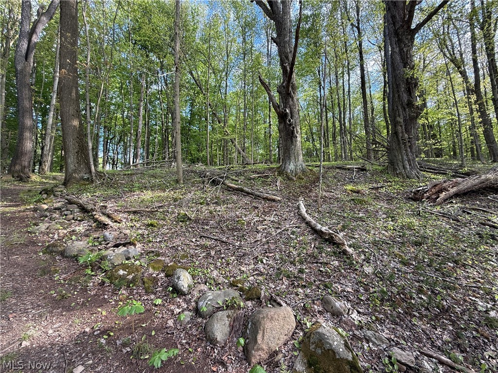 10633 Sherman Road Chardon OH 44024