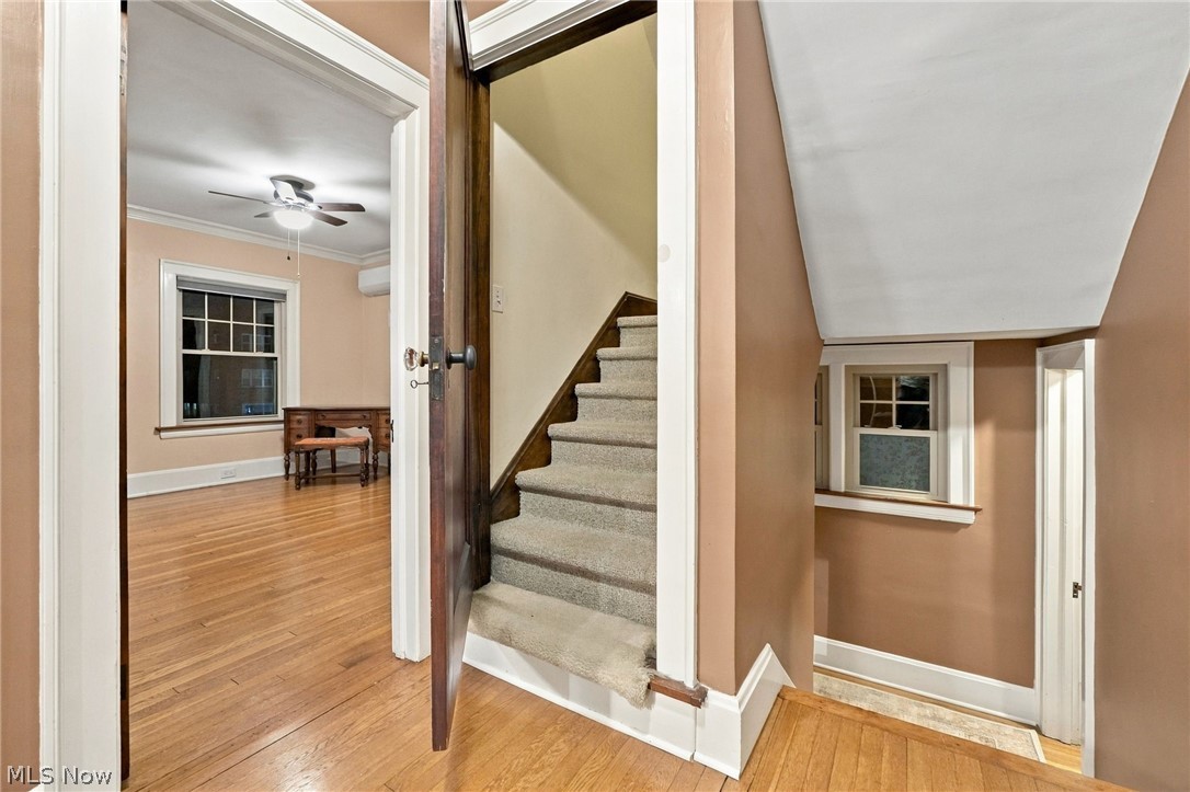 2009 Riverside Drive Lakewood OH 44107
