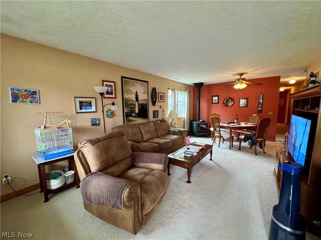 514 Carson Avenue Grand River OH 44045