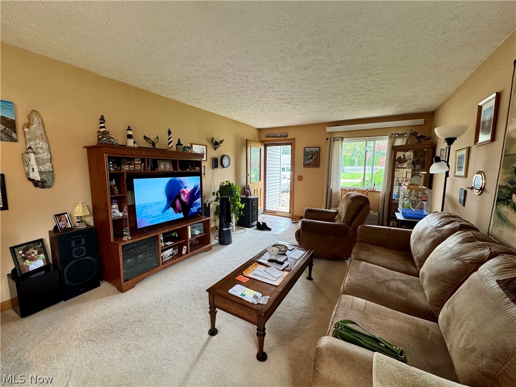 514 Carson Avenue Grand River OH 44045