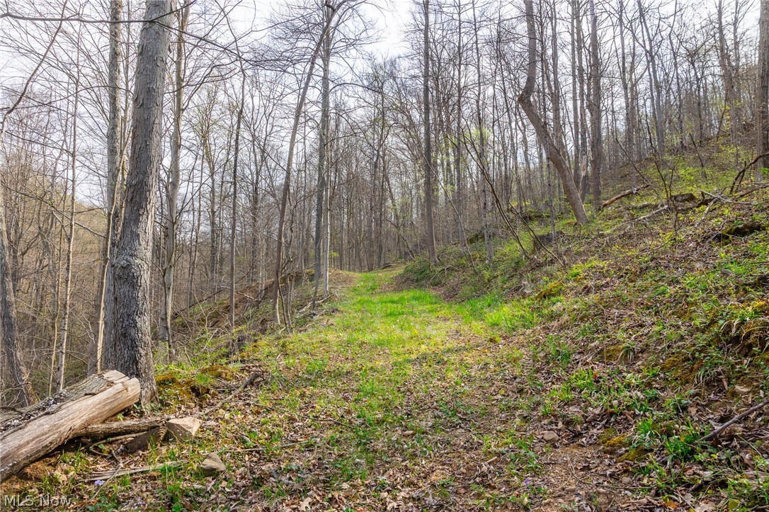 2115 Goss Fork Road Whipple OH 45788