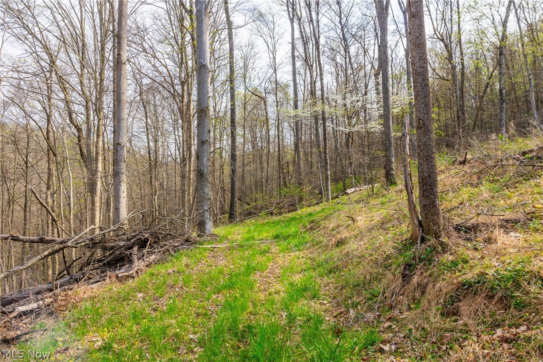 2115 Goss Fork Road Whipple OH 45788