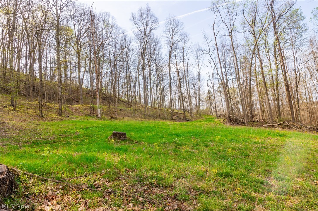 2115 Goss Fork Road Whipple OH 45788