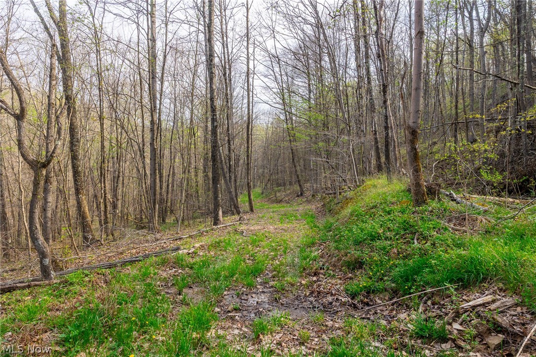 2115 Goss Fork Road Whipple OH 45788