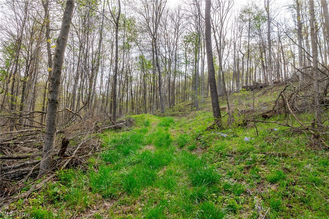 2115 Goss Fork Road Whipple OH 45788