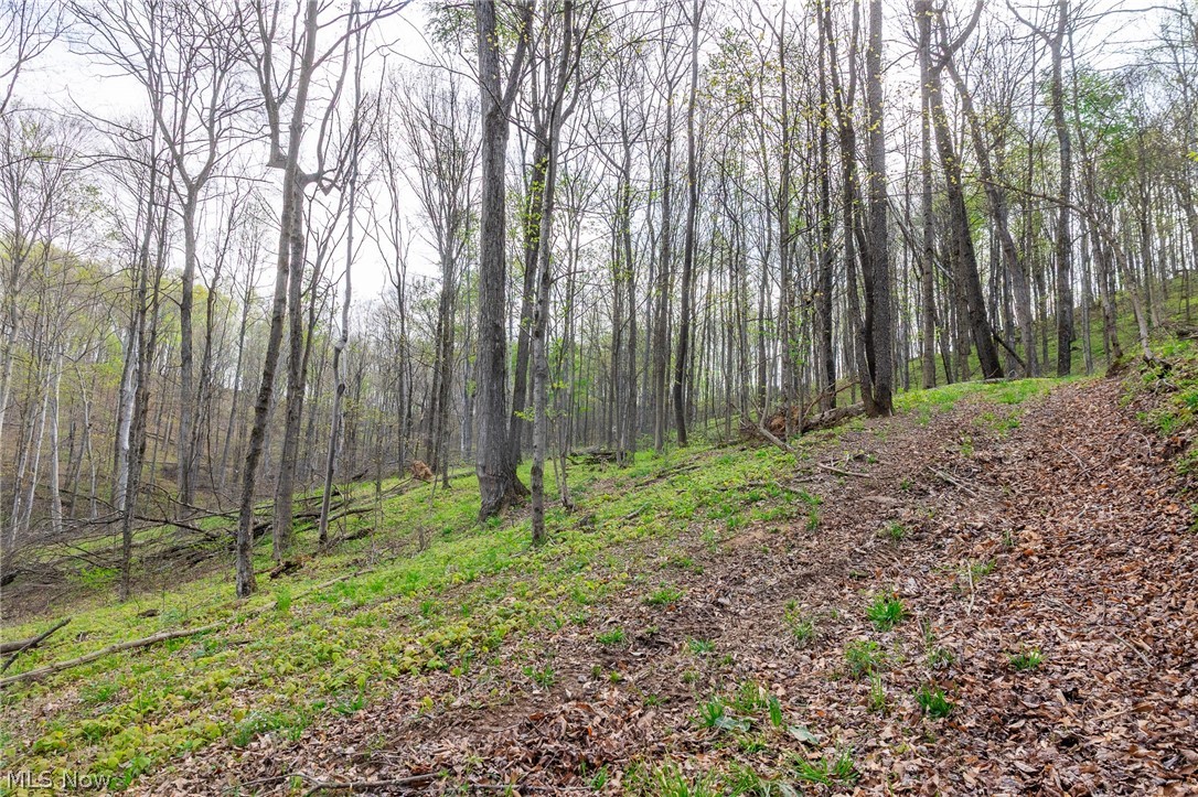 2115 Goss Fork Road Whipple OH 45788