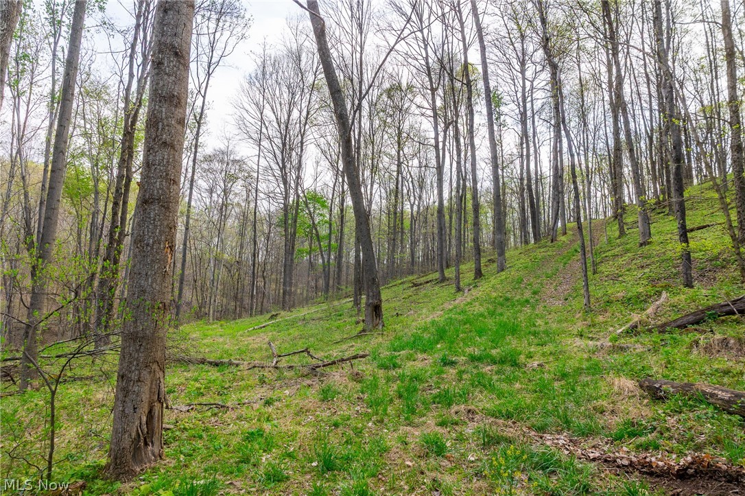2115 Goss Fork Road Whipple OH 45788