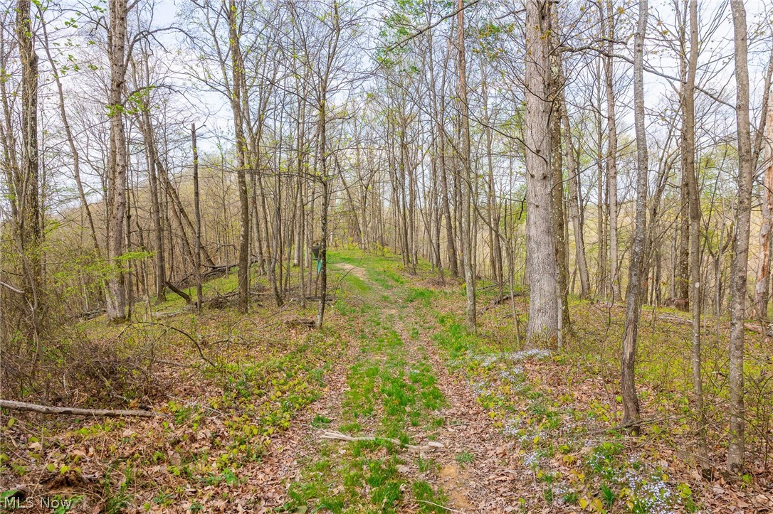 2115 Goss Fork Road Whipple OH 45788