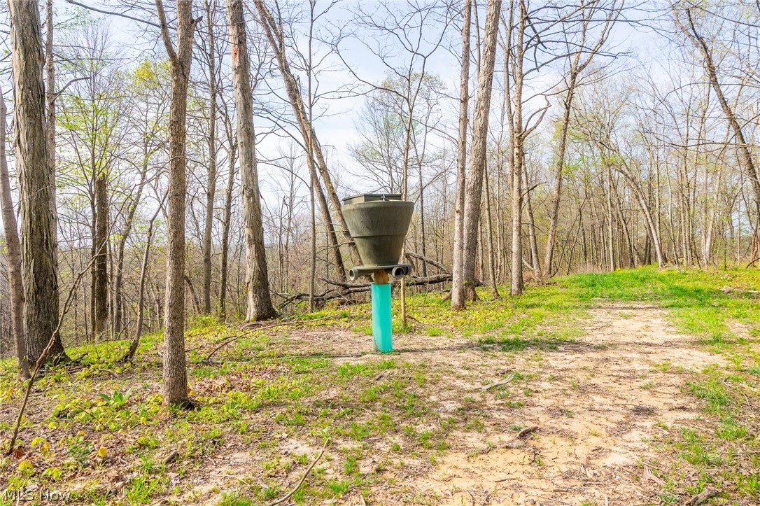 2115 Goss Fork Road Whipple OH 45788
