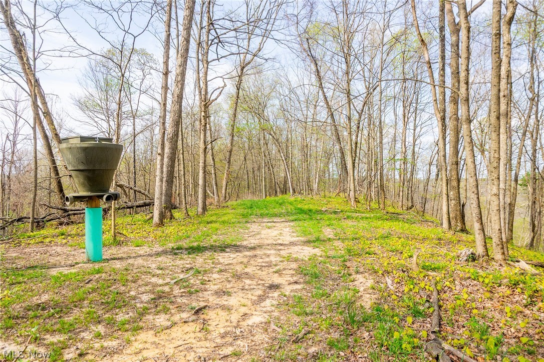 2115 Goss Fork Road Whipple OH 45788