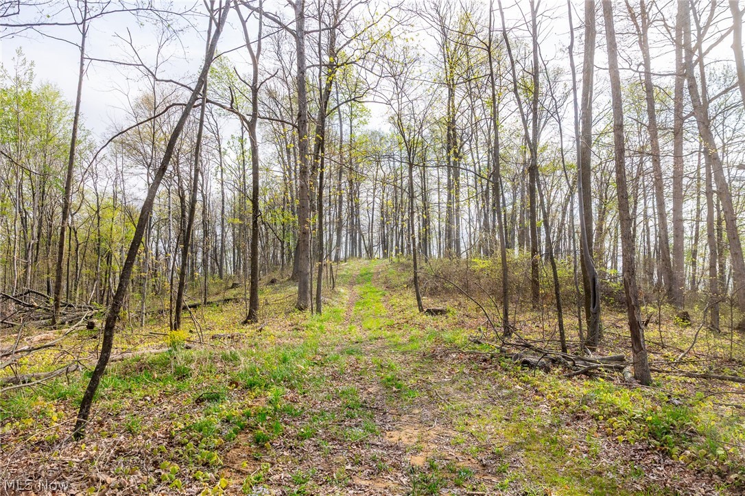 2115 Goss Fork Road Whipple OH 45788
