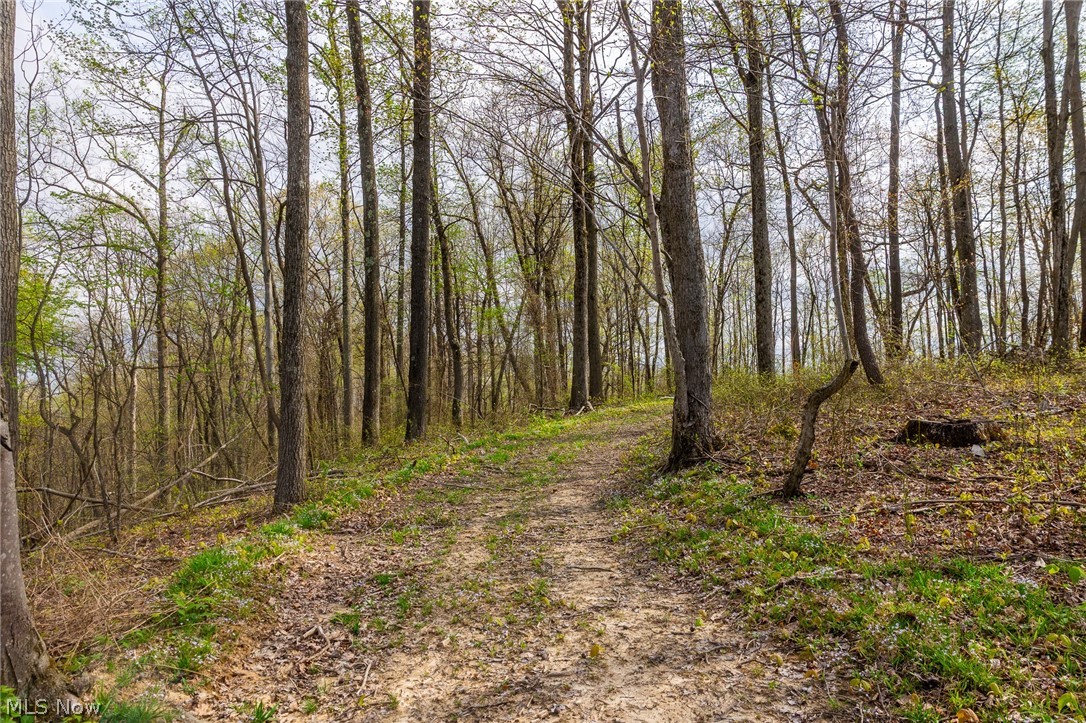 2115 Goss Fork Road Whipple OH 45788