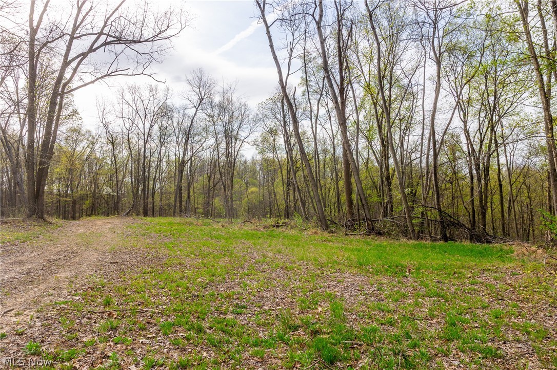 2115 Goss Fork Road Whipple OH 45788