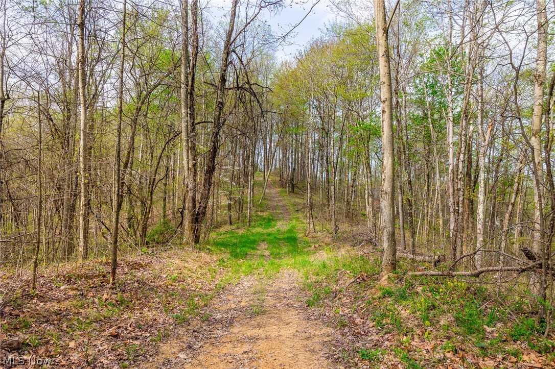 2115 Goss Fork Road Whipple OH 45788