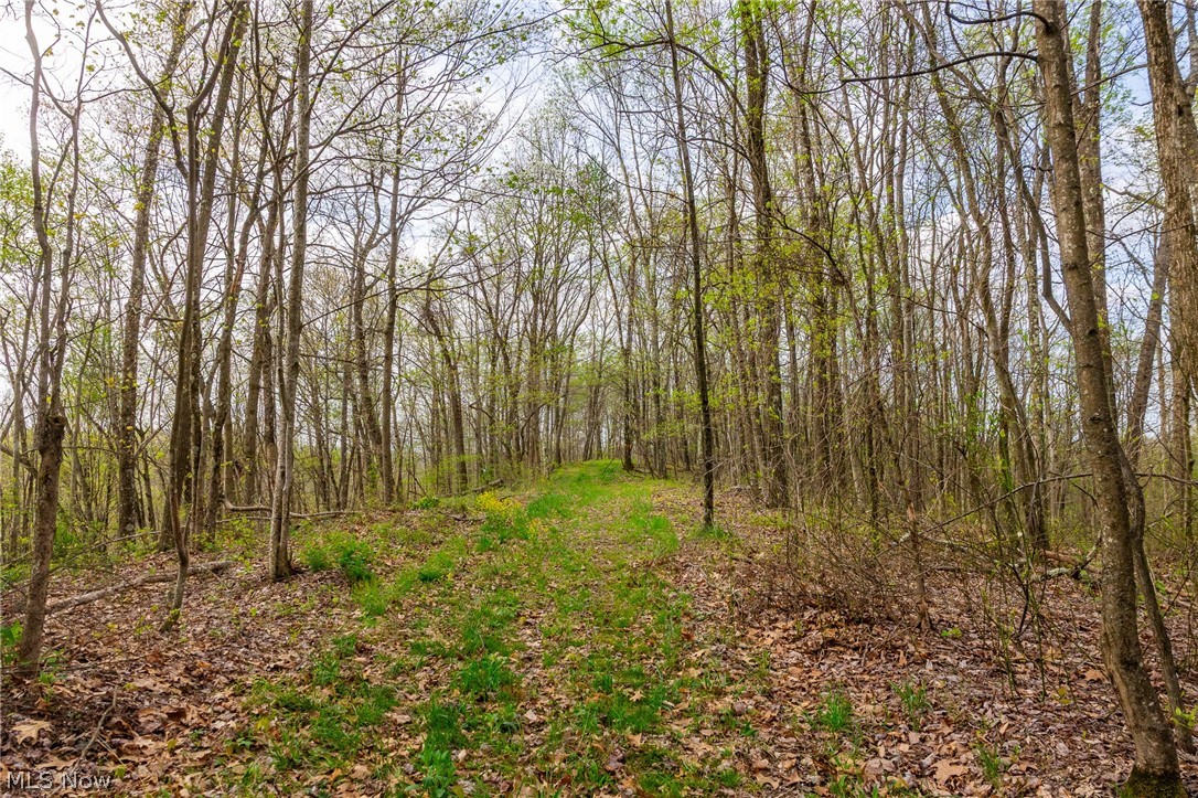 2115 Goss Fork Road Whipple OH 45788