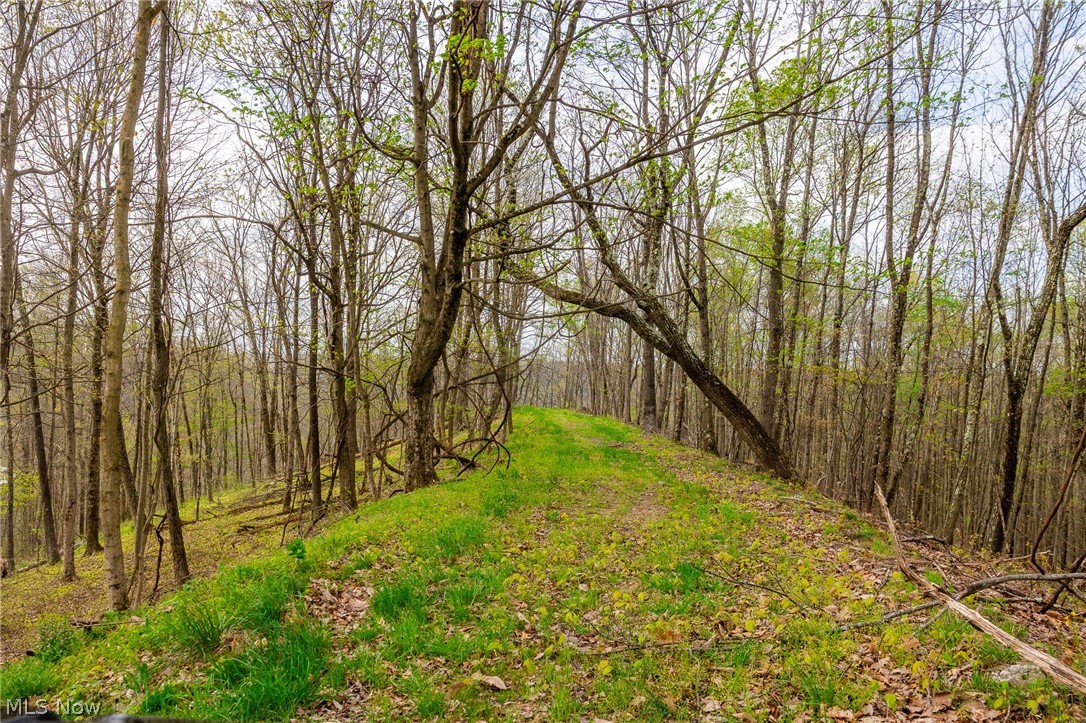 2115 Goss Fork Road Whipple OH 45788
