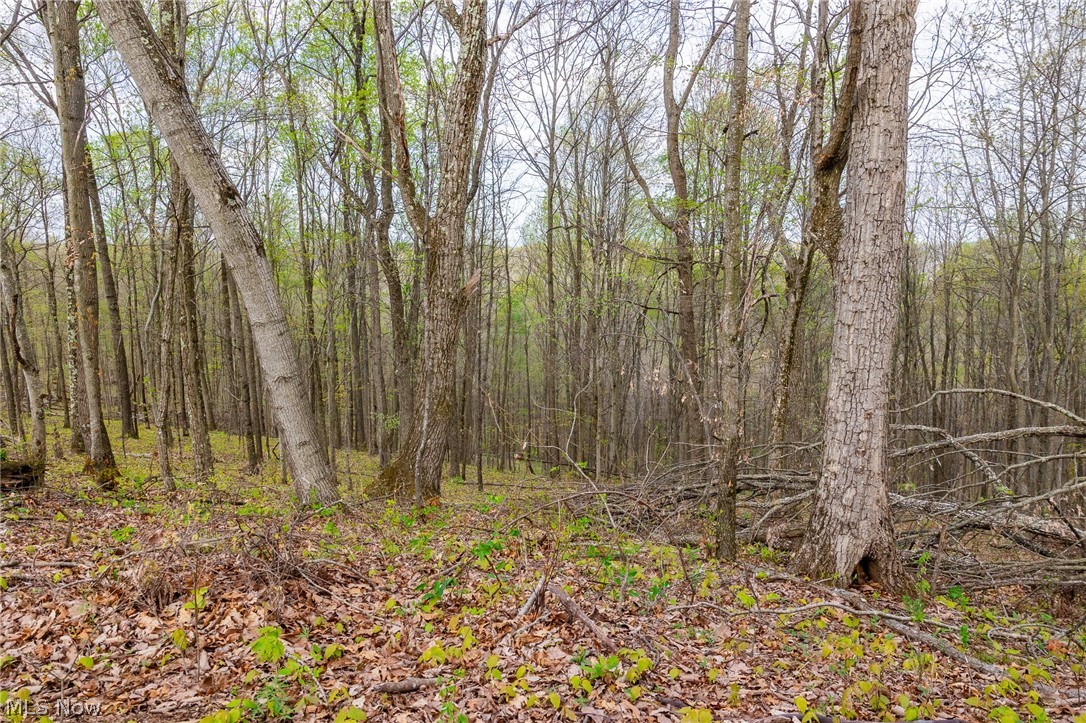 2115 Goss Fork Road Whipple OH 45788