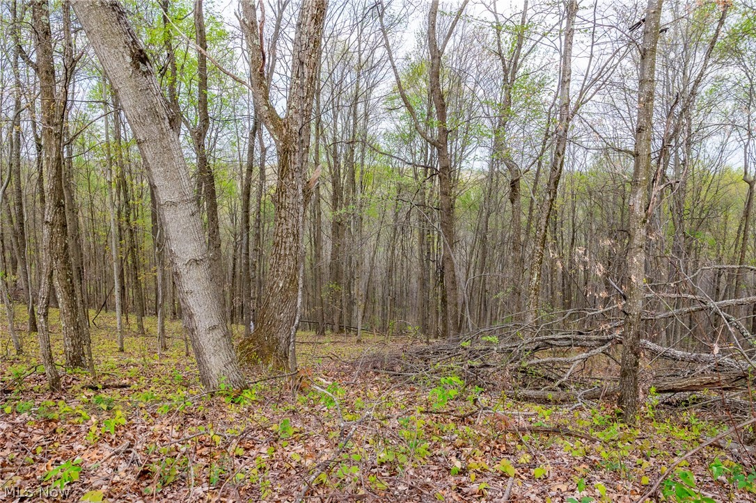 2115 Goss Fork Road Whipple OH 45788