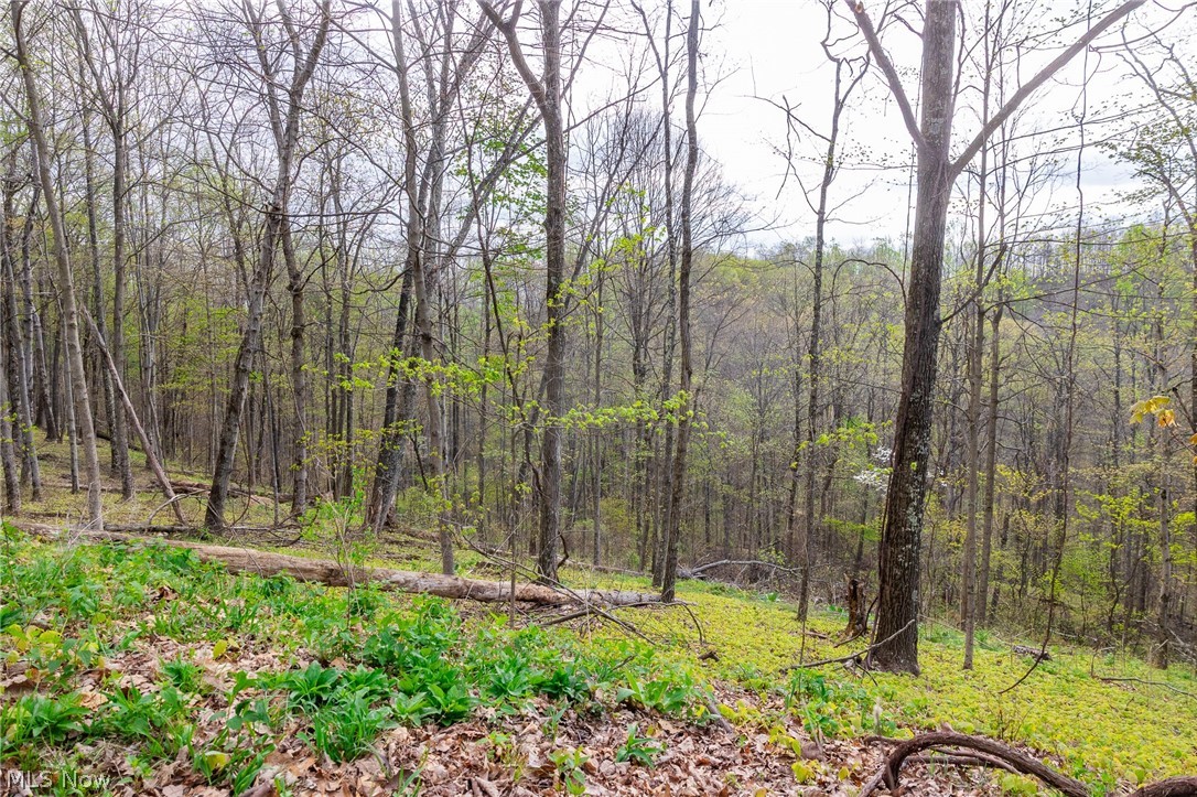2115 Goss Fork Road Whipple OH 45788