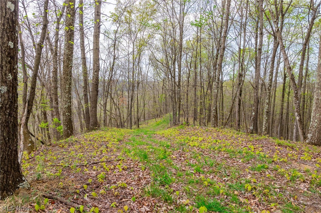2115 Goss Fork Road Whipple OH 45788