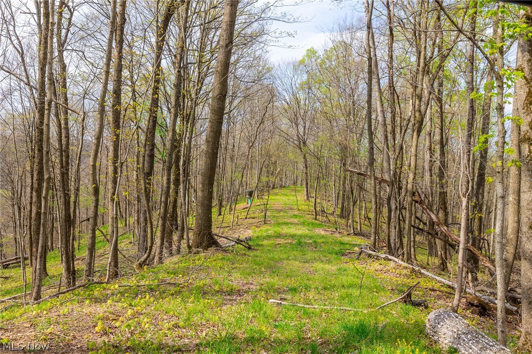 2115 Goss Fork Road Whipple OH 45788