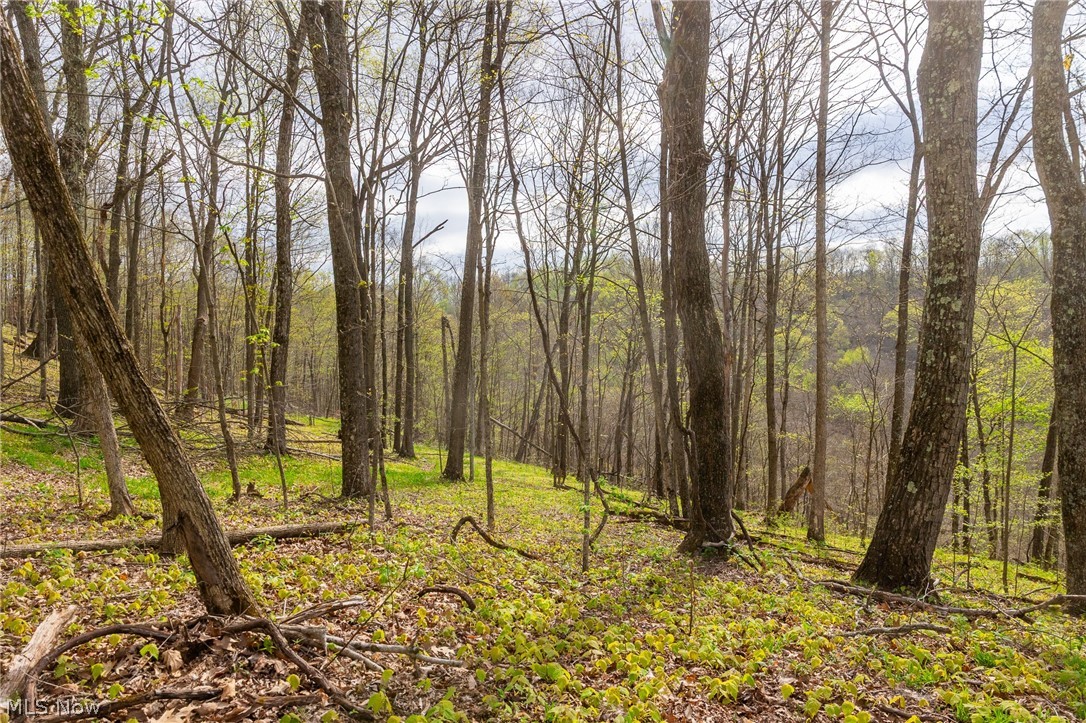 2115 Goss Fork Road Whipple OH 45788