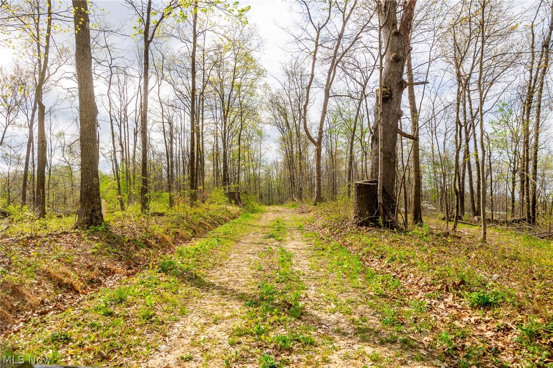 2115 Goss Fork Road Whipple OH 45788
