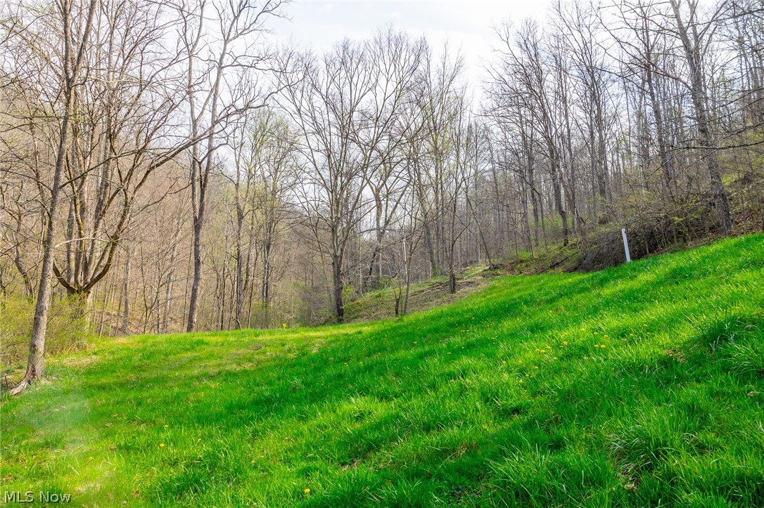 2115 Goss Fork Road Whipple OH 45788