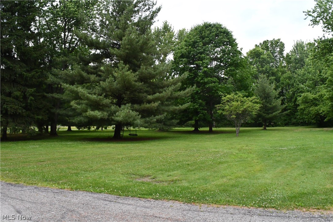 10566 Clapsaddle Avenue NE Alliance OH 44601