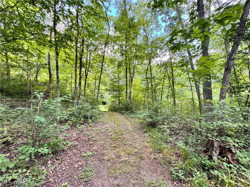 3239 Salineville Road NE Carrollton OH 44615