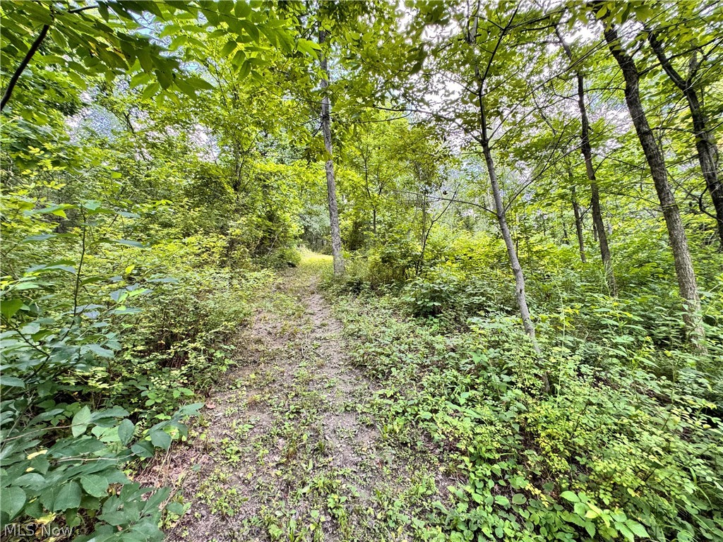 3239 Salineville Road NE Carrollton OH 44615