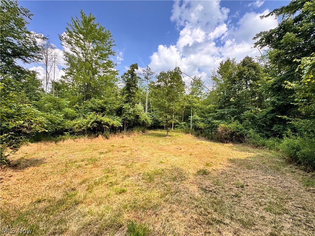 3239 Salineville Road NE Carrollton OH 44615