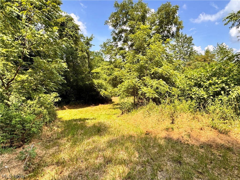 3239 Salineville Road NE Carrollton OH 44615