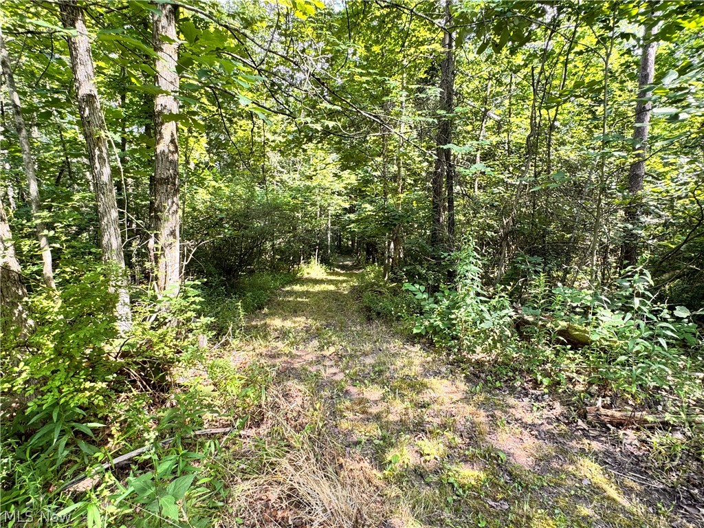 3239 Salineville Road NE Carrollton OH 44615