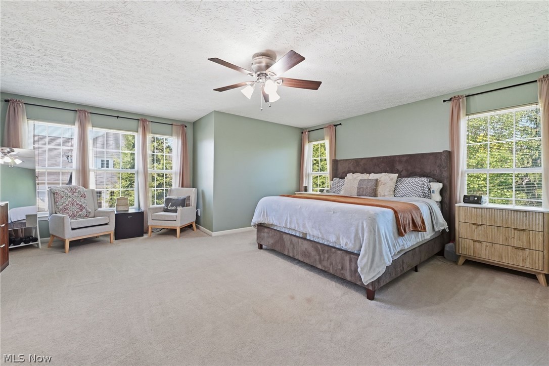 4709 Quincy Drive Akron OH 44321