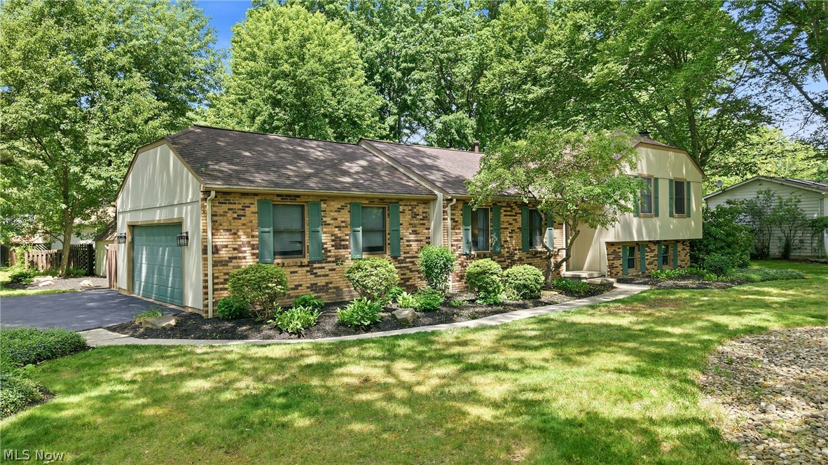 352 Rosewae Avenue Cortland OH 44410