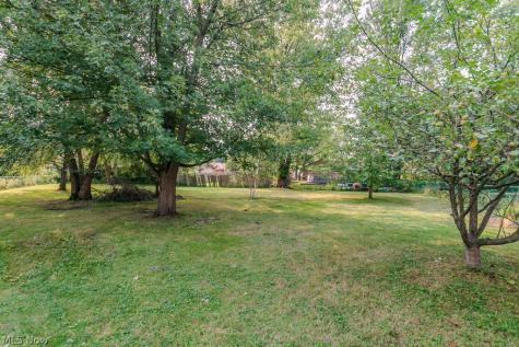 310 Marion Avenue Painesville OH 44077
