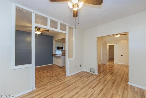 1305 Big Falls Avenue Akron OH 44310
