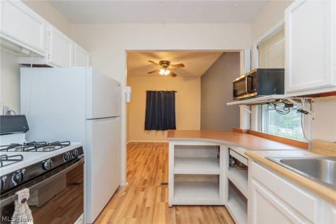 1305 Big Falls Avenue Akron OH 44310