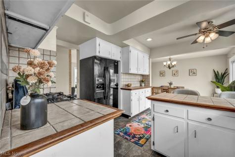 1729 Bellingham Road Mayfield Heights OH 44124