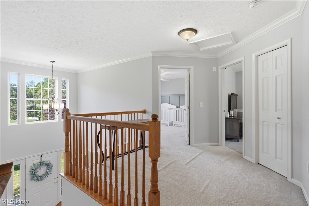 4120 Timber Trail Medina OH 44256
