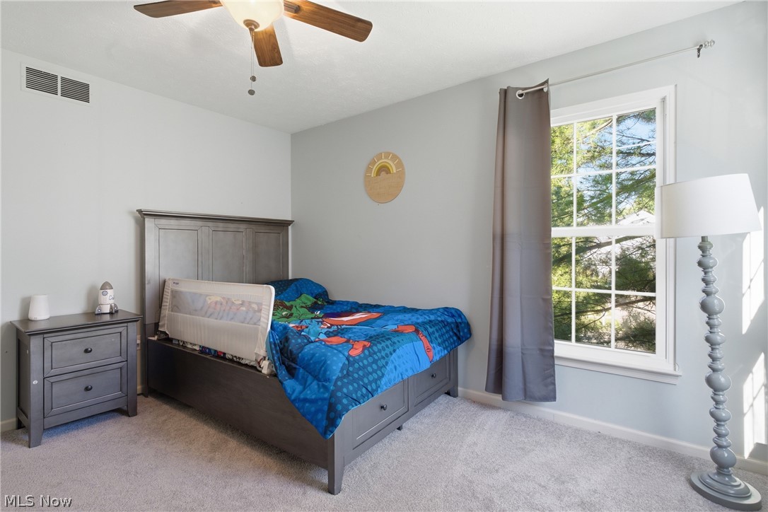 4120 Timber Trail Medina OH 44256