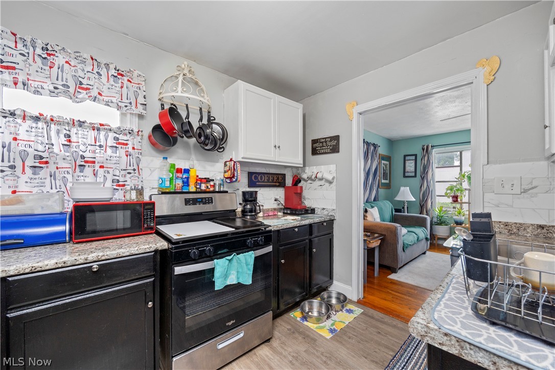 12502 Leeila Avenue Cleveland OH 44135