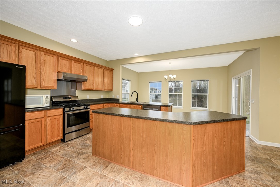 3784 Firethorn Drive Aurora OH 44202