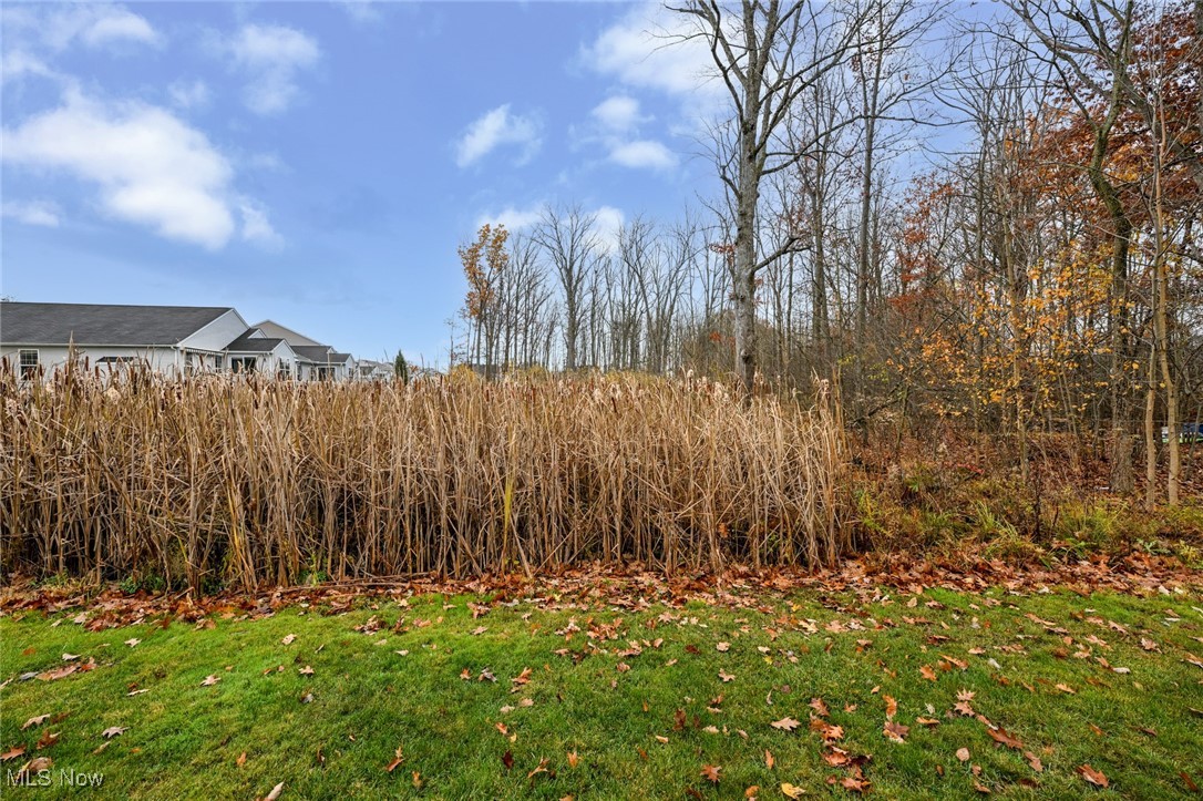 3784 Firethorn Drive Aurora OH 44202